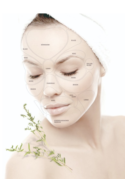 Brigitte Kettner Gesichtsbehandlung Naturheilkosmetik Anti Aging Falten Basel Kosmetik